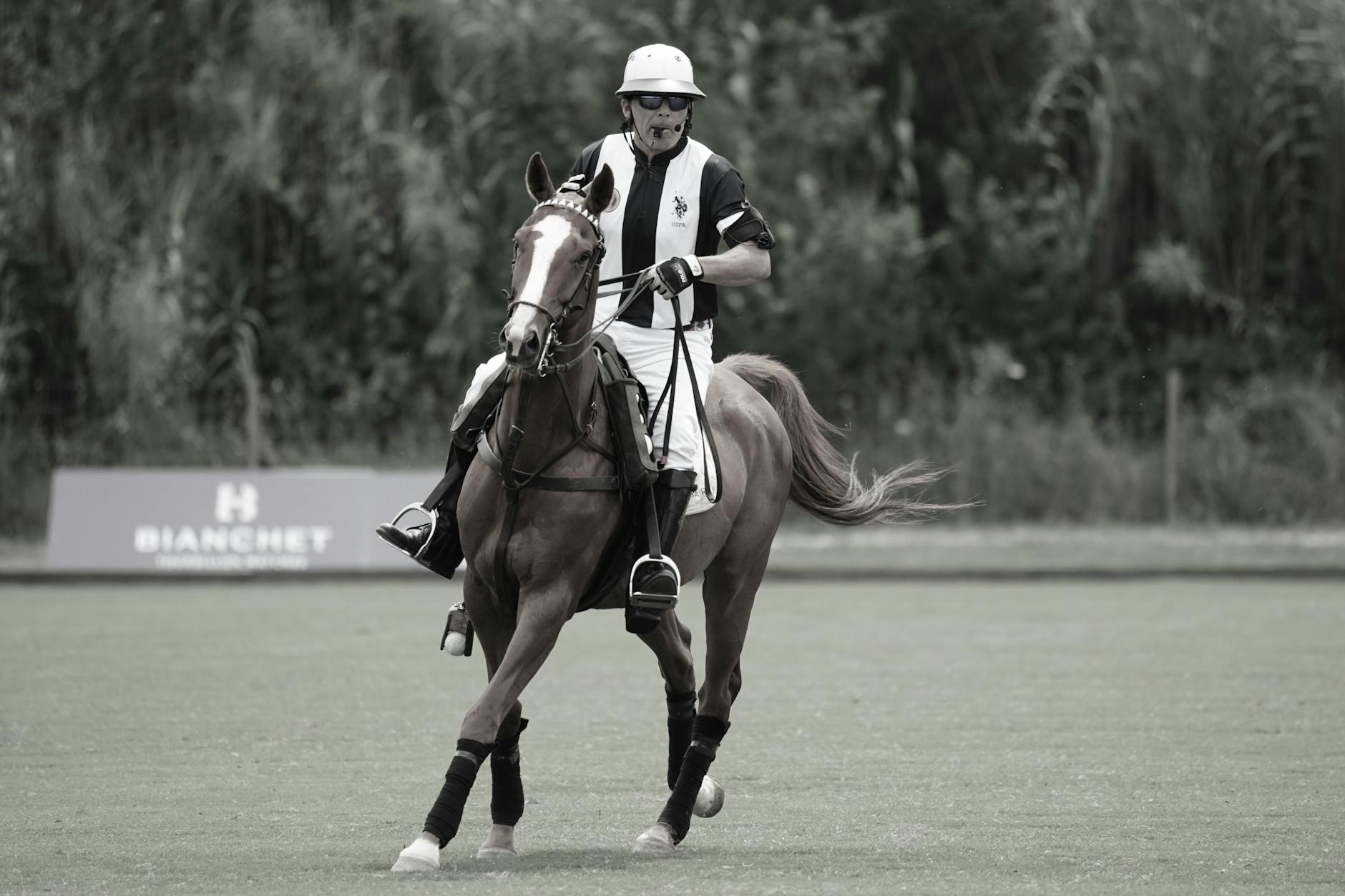 The Polo Shirt's Long Ride From the Argentine Pampas to Your Office Dress Code